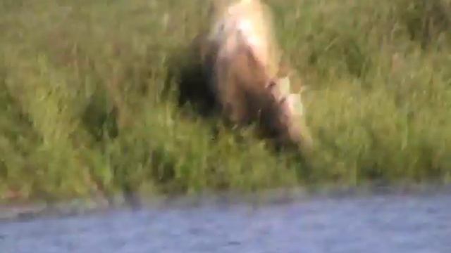 платник в селе Букань-Калужская область смотреть онлайн