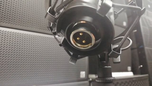 Студийный микрофон t.Bone SC600 смотреть онлайн