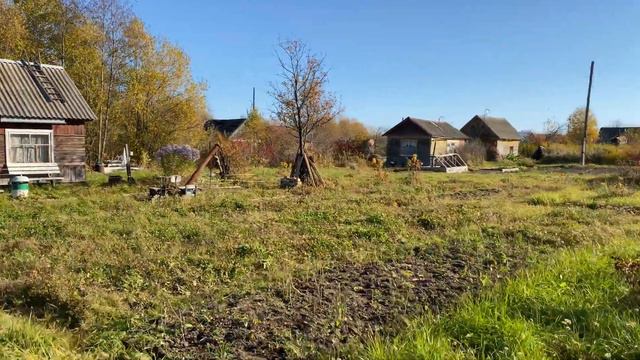 Прогулка по дачам смотреть онлайн