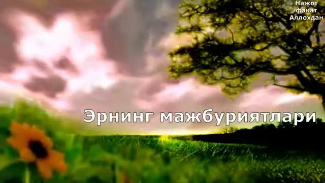 22 ноября 2018 г. смотреть онлайн
