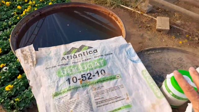 Гулларни ёркин, чиройли ва котта киладиган озука. Гунчаларни тез очириш учун озукалар. Капалак гули смотреть онлайн