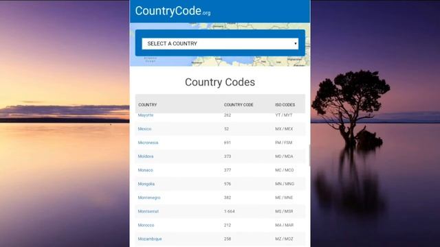 Country Codes, Phone Codes, Dialing Codes, Telephone Code, ISO Country Codes In 2020 смотреть онлайн
