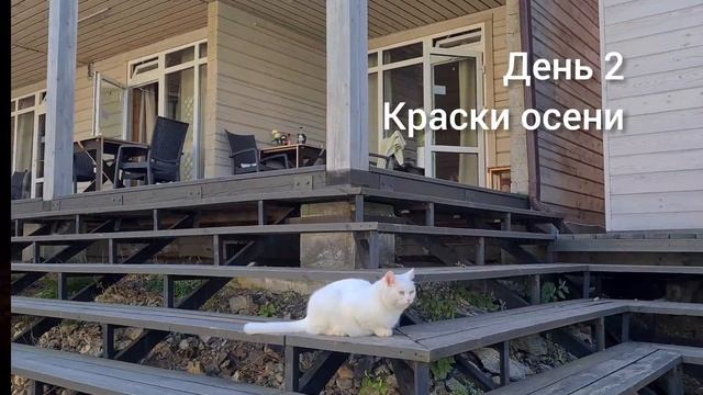 Алтай на мотоцикле за 3 дня. Цены смотреть онлайн