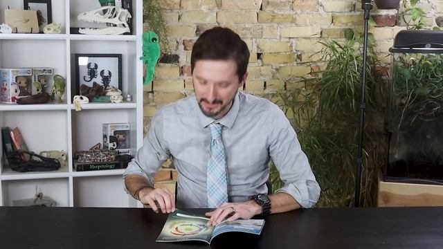 Zoologist Reacts To Who Would Win? Ultimate Reptile Rumble смотреть онлайн