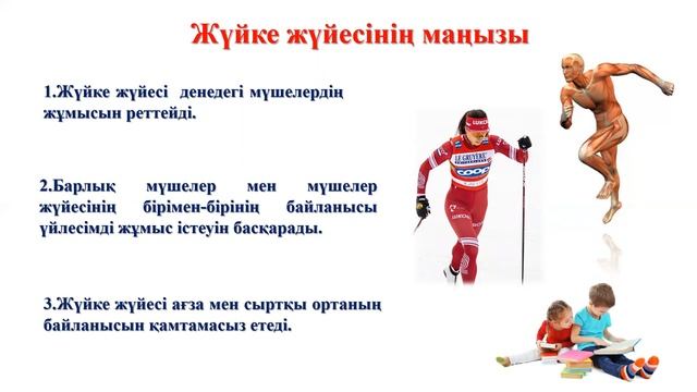 Нейрондардың құрылысы мен қызметі 7 сынып 3 тоқсан 8 сабақ смотреть онлайн