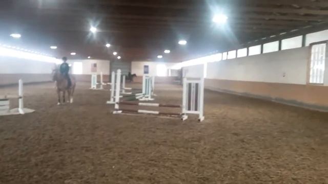Jumping higher (little miss priss) смотреть онлайн