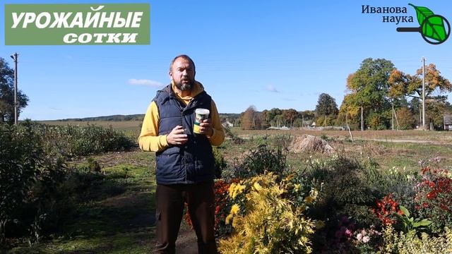 Строительные Призраки