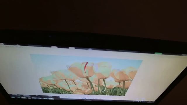 Dell Alienware M17XR3 Full-HD Panel Viewing Angles смотреть онлайн