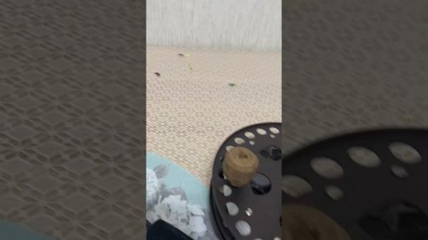 Удочка на Омуля