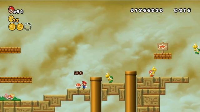 COINS!!! | Newer Super Mario Bros. Wii: Summer Sun - Bonus World смотреть онлайн