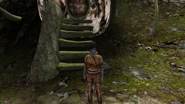 372. The Elder Scrolls III. Tamriel Rebuild. Порт Тельванни. Дураки, которые вмешиваются смотреть онлайн