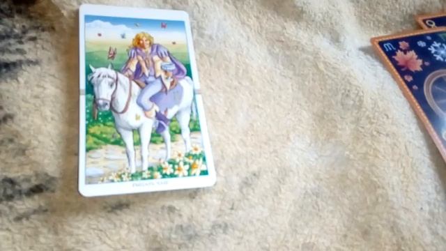 Таро Онлайн. Изменяет ли Вам мужчина? Ходит ли на сторону? смотреть онлайн