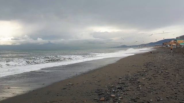 23.12.2020.Адлер. смотреть онлайн