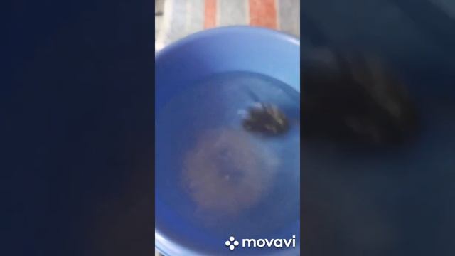 ЛайфХак/Как сделать солевые повязки. смотреть онлайн