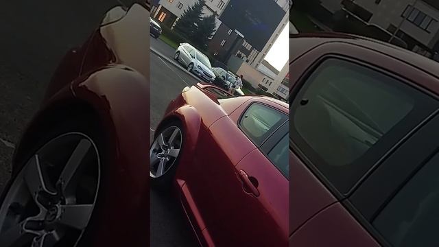 #tiktok #рекомендации #brest #minsk смотреть онлайн