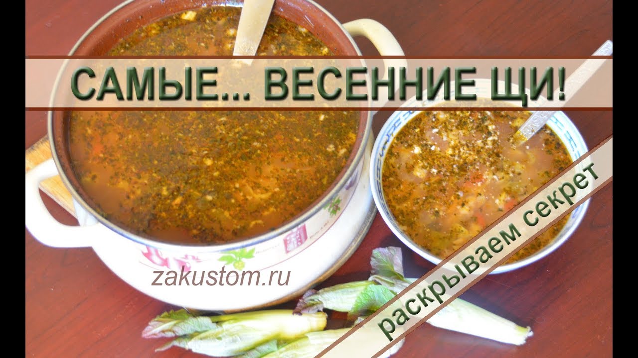 Самые вкусные зеленые щи! Варим дачный суп из гречихи сахалинской смотреть онлайн