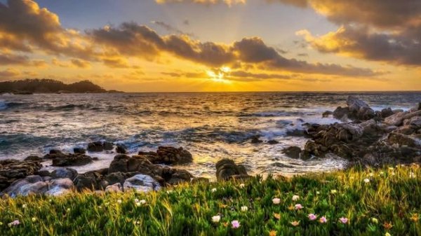 Lazar Berman - Clementi - Piano Sonata No 2 in B minor, Op 40