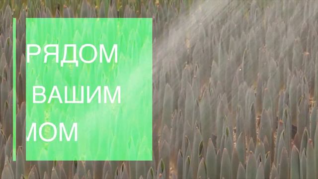Семейное тепличное хозяйство "Дарю весну" смотреть онлайн