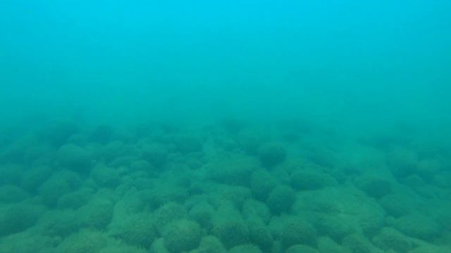 Лазаревское 2020 чистейшая вода и ракушка на песчаном дне смотреть онлайн