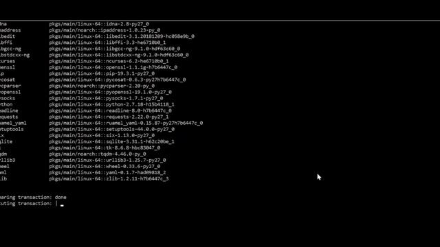 Tutorial Install Ferret on Windows смотреть онлайн