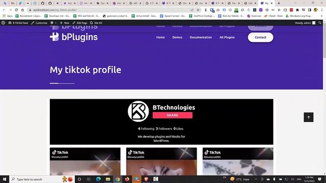 Embed TikTok feed in WordPress Website | TikTok Feed plugin смотреть онлайн