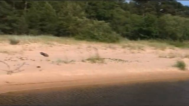 Позвони -Волгин Юрий Эстония смотреть онлайн