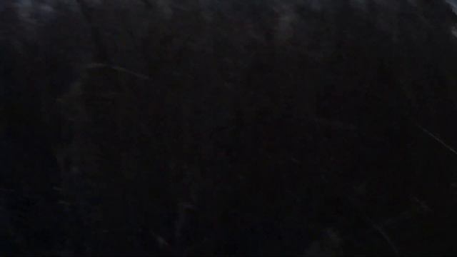 охота на утку октябрь 2019 #утканаволге#ружье#охота на утку 2019 смотреть онлайн