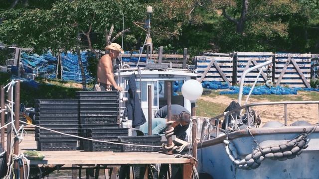 АНО Национальные приоритеты Приморский край видео смотреть онлайн