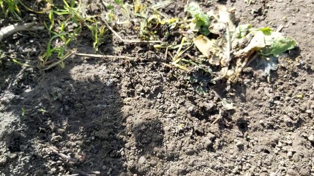 О горячей траве с наглядными примерами смотреть онлайн