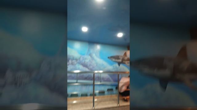 как мыть натяжной потолок смотреть онлайн