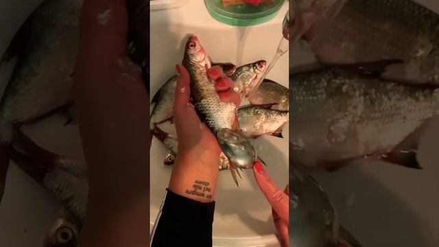 Как быстро снять чешую с рыбы и не уделать кухню . #лайфхаки #sorts #fishing смотреть онлайн