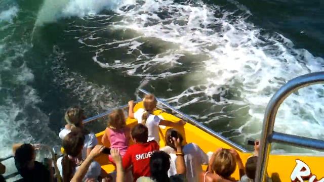 Rudee Rocket dolphin ride 2 смотреть онлайн
