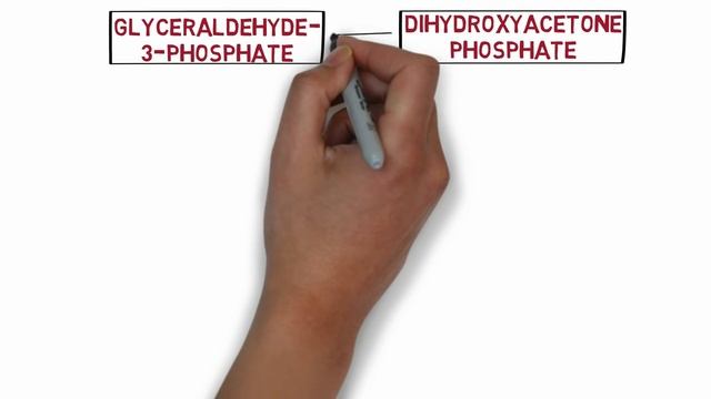 Glycolysis Pathway Made Simple ! Biochemistry Lecture on Glycolysis.mp4 смотреть онлайн