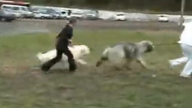 SRO смотреть онлайн