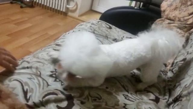 Чудесны день! смотреть онлайн