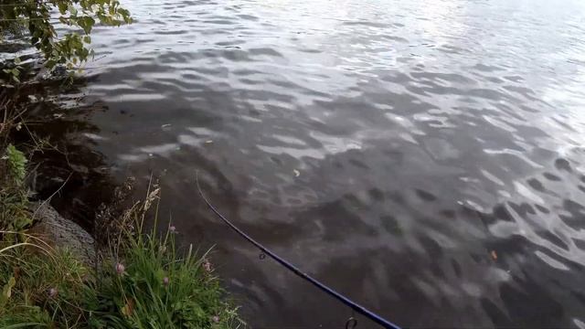 Окунь на отводной поводок. Химкинское вдх 19.09.2019 смотреть онлайн