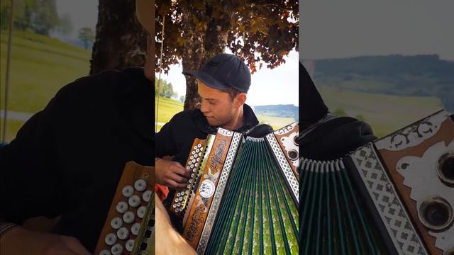 Gustl aus Rohrbach смотреть онлайн