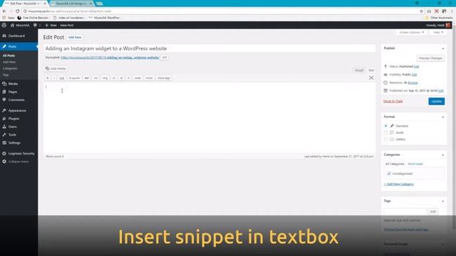 Adding a SnapWidget Instagram widget to your Wordpress website for a specific post смотреть онлайн