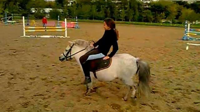 Пони по имени Чудо смотреть онлайн