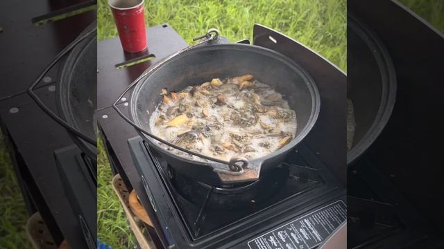 Туристическая кухня "Чакбокс + Минибокс" - складная кемпинговая кухня / Chuck box, camping box. смотреть онлайн