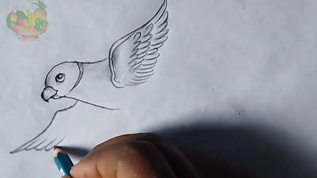 How to draw a flying parrot easily/RK Art's(Raja) смотреть онлайн