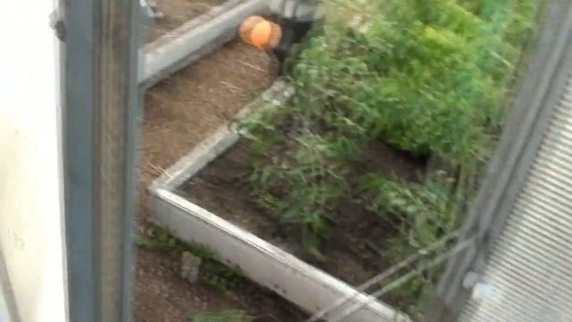 Система сбора воды и полива !!! смотреть онлайн