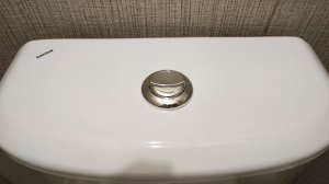 Как снять крышку бачка и арматуру унитаза Santek Boreal