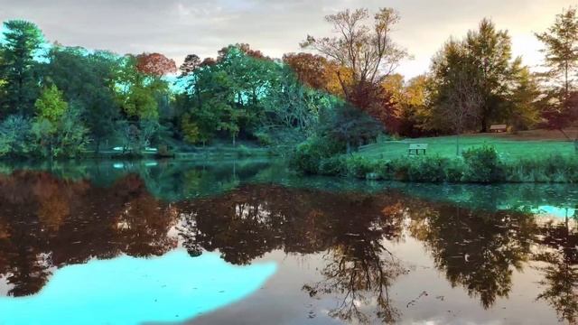Расцвет Осени Возле Озера в Нашем Городе - Октябрь 2023. Эшвилл 2023! смотреть онлайн