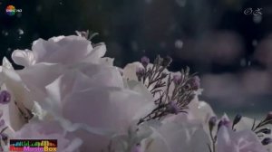 Загляни в Мои Глаза _ Look into My Eyes_ Long Version 2022