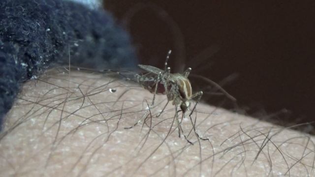 Мастерская деревянного дизайна