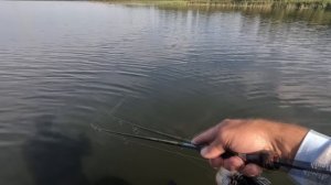 Самые МОИ РАБОЧИЕ ПРОВОДКИ для Воблеров!  Как ПРОВОДИТЬ разные типы Воблеров!