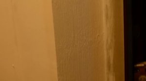 Декоративная штукатурка на дверных откосах
