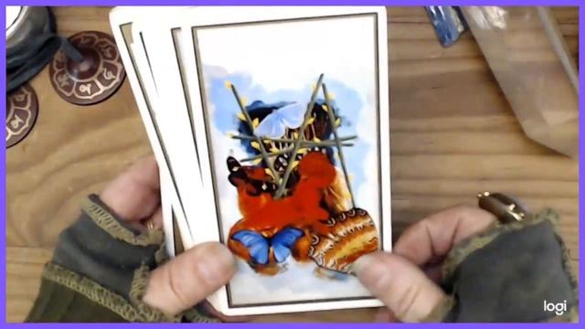 #Tarot Collector смотреть онлайн