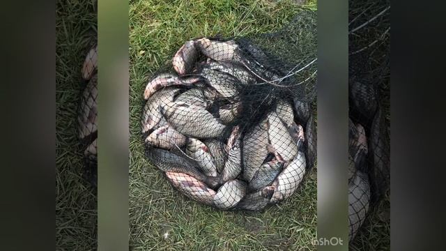 Рибалка на карася фото ?